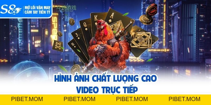 Đá Gà S8 - Quy Tụ Hàng Loạt Hình Thức Chọi Kê Đặc Sắc