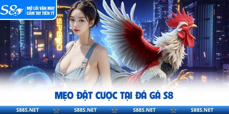 Đá Gà S8 - Quy Tụ Hàng Loạt Hình Thức Chọi Kê Đặc Sắc